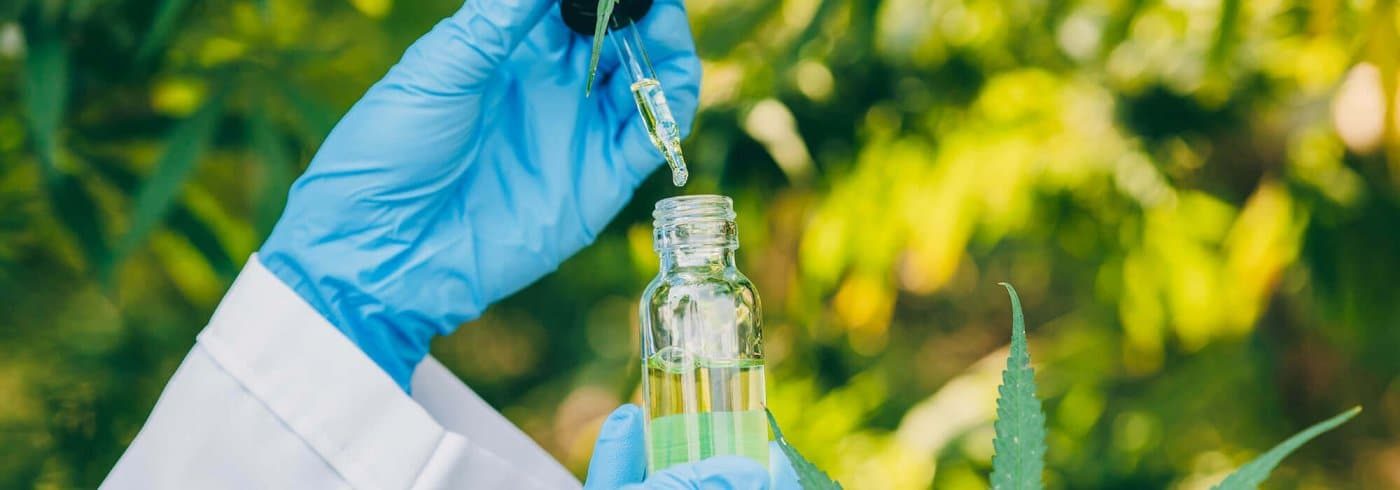 sativa-cannabis-or-hemp-oil-extract-from-marijuana-DVYZ4TK-1-pg1mjw5znz8t6v7e3nb942udigoeiu90f5wq2y75es